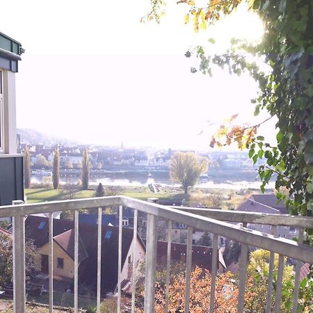 Vogelnest Appartement Pirna Buitenkant foto